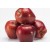 Red Chief / Red Delicious / Starking  Apple 