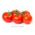 Bunch / Vine Tomato 