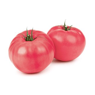 Pink Tomato 