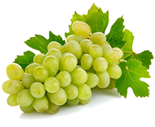 Yalova Incisi Grapes 