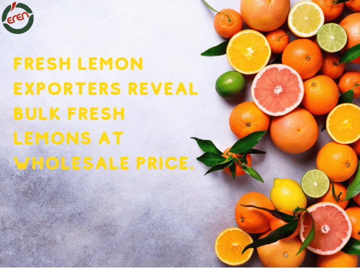 Get Ready for the Tangy Delight of Lemons in Season: Lemon Season!