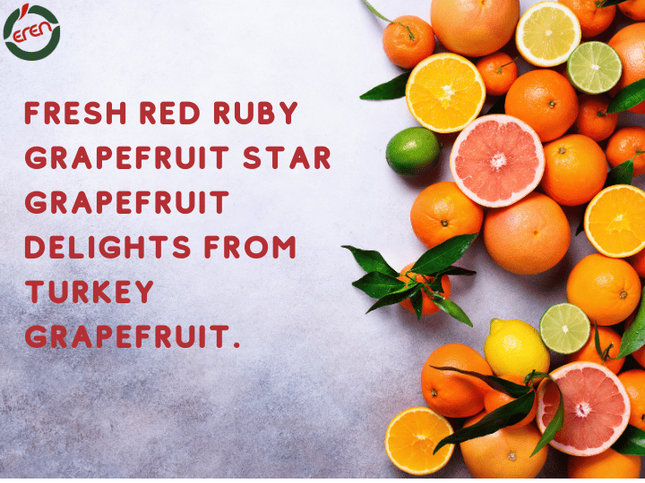Get Ready for the Tangy Delight of Lemons in Season: Lemon Season!