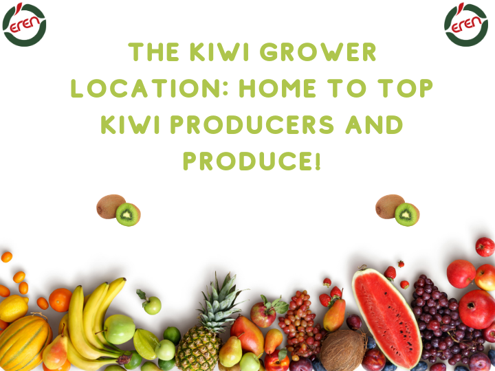 The kiwi grower location: Home to top kiwi producers and produce!