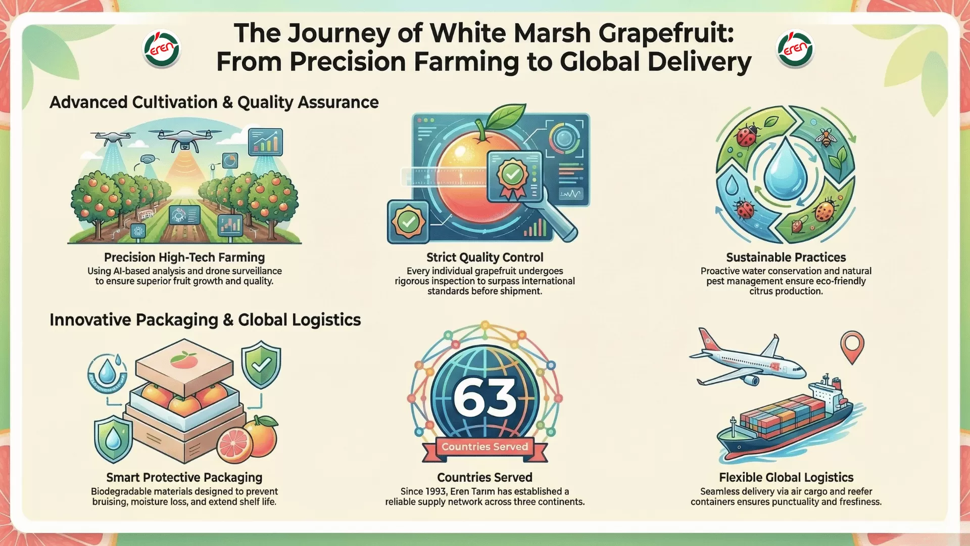 The Journey of White Marsh Grapefruit: Quality Production & Packaging