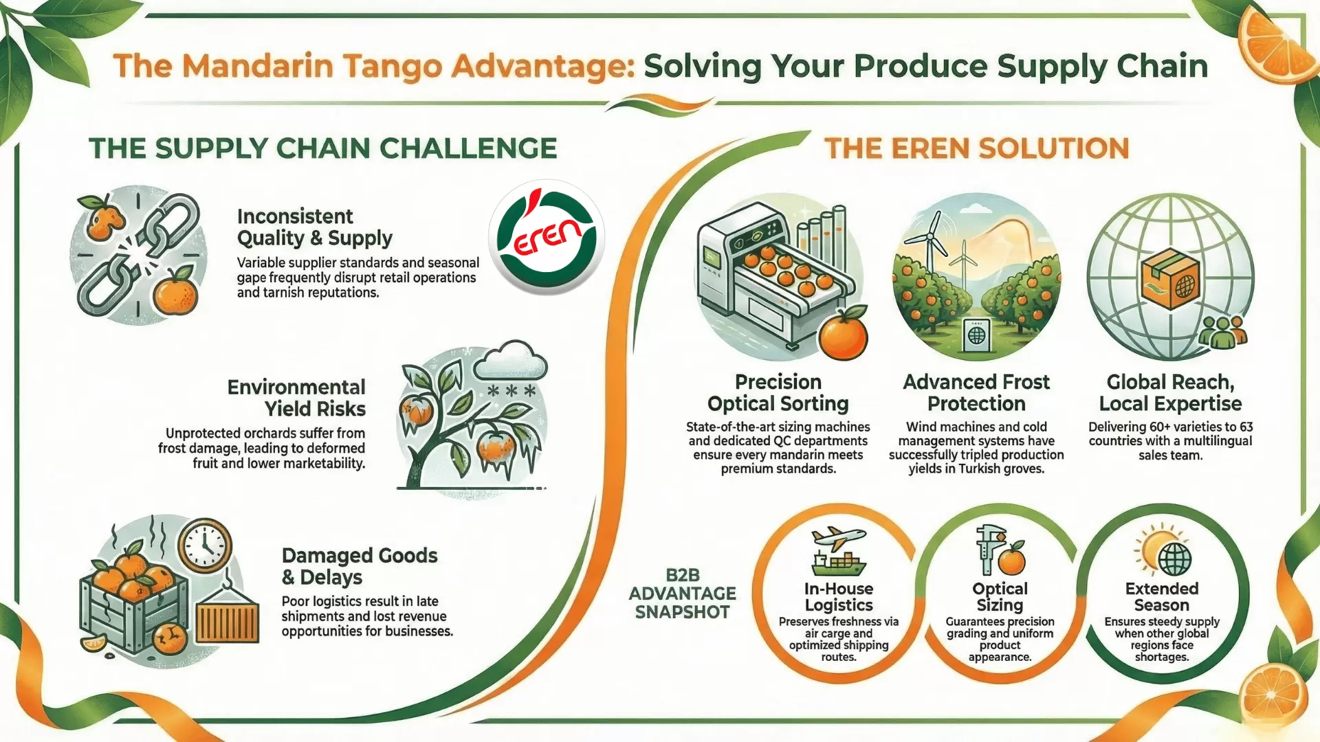 Mandarin Tango: A Juicy Journey With Turkish Mandarins From Turkey!