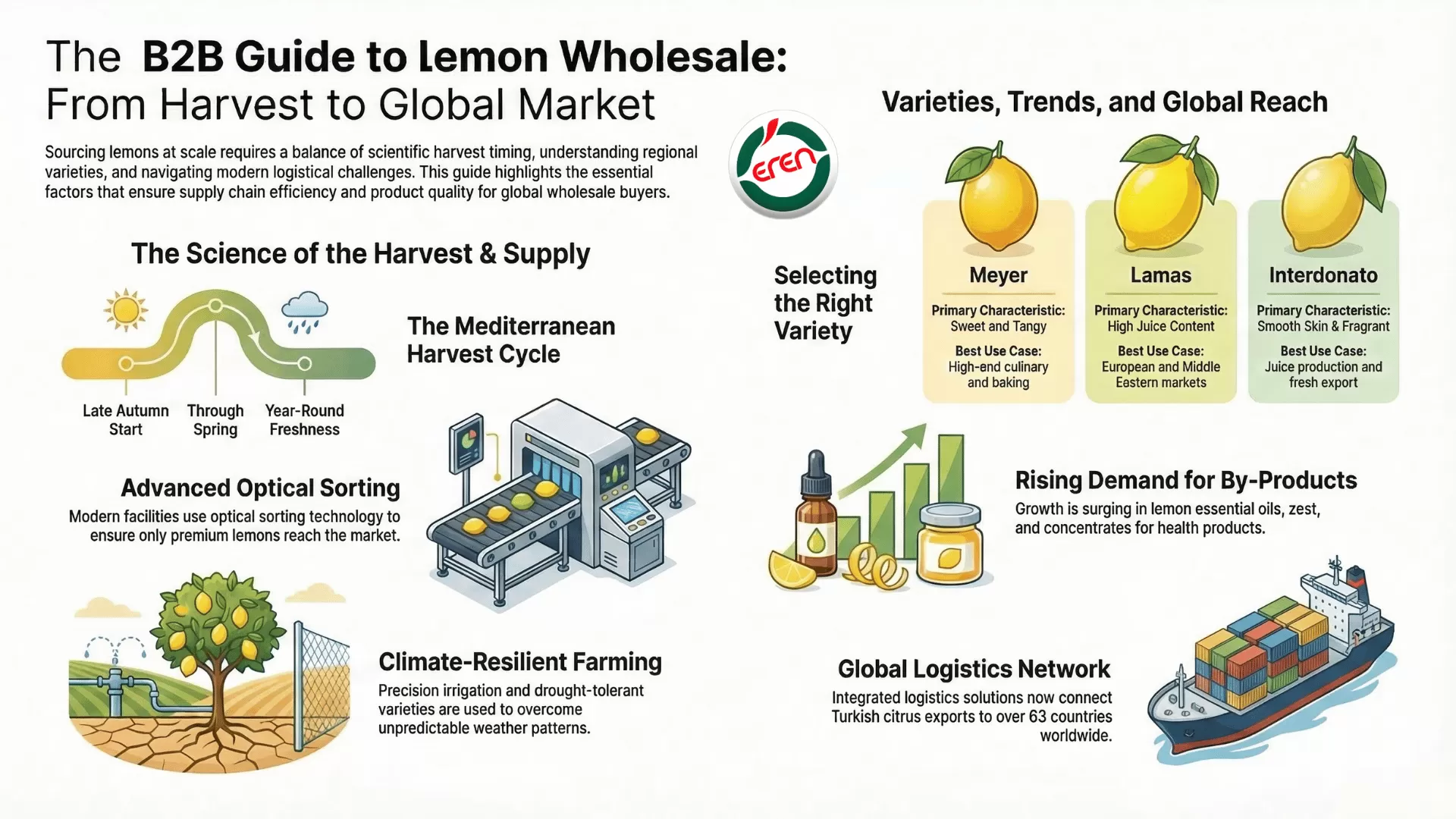 Lemons wholesale decoded All you need to know about lemon harvest time.