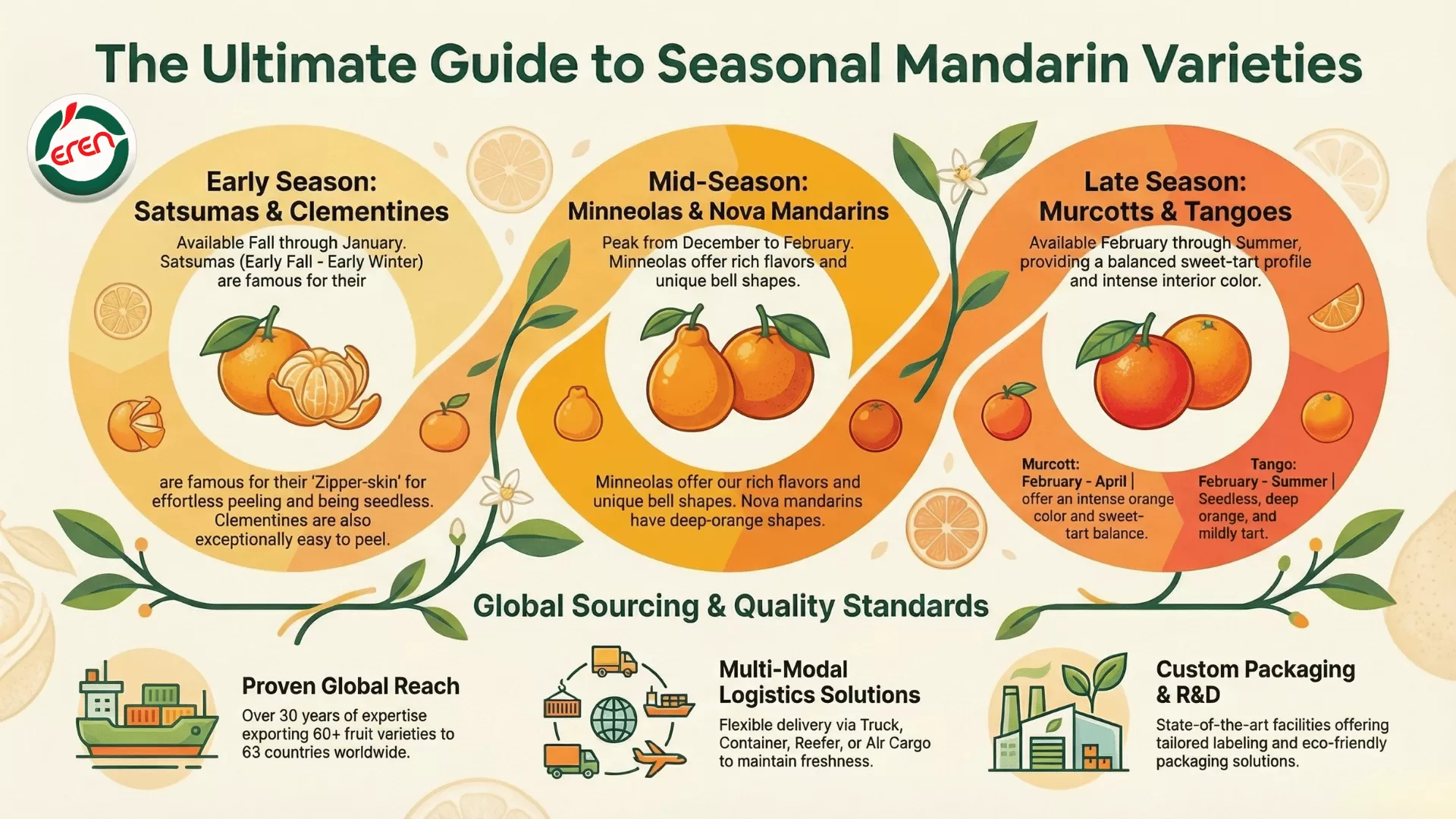 A Guide to Juicy Murcott Tangerine and Satsuma Mandarin Varieties