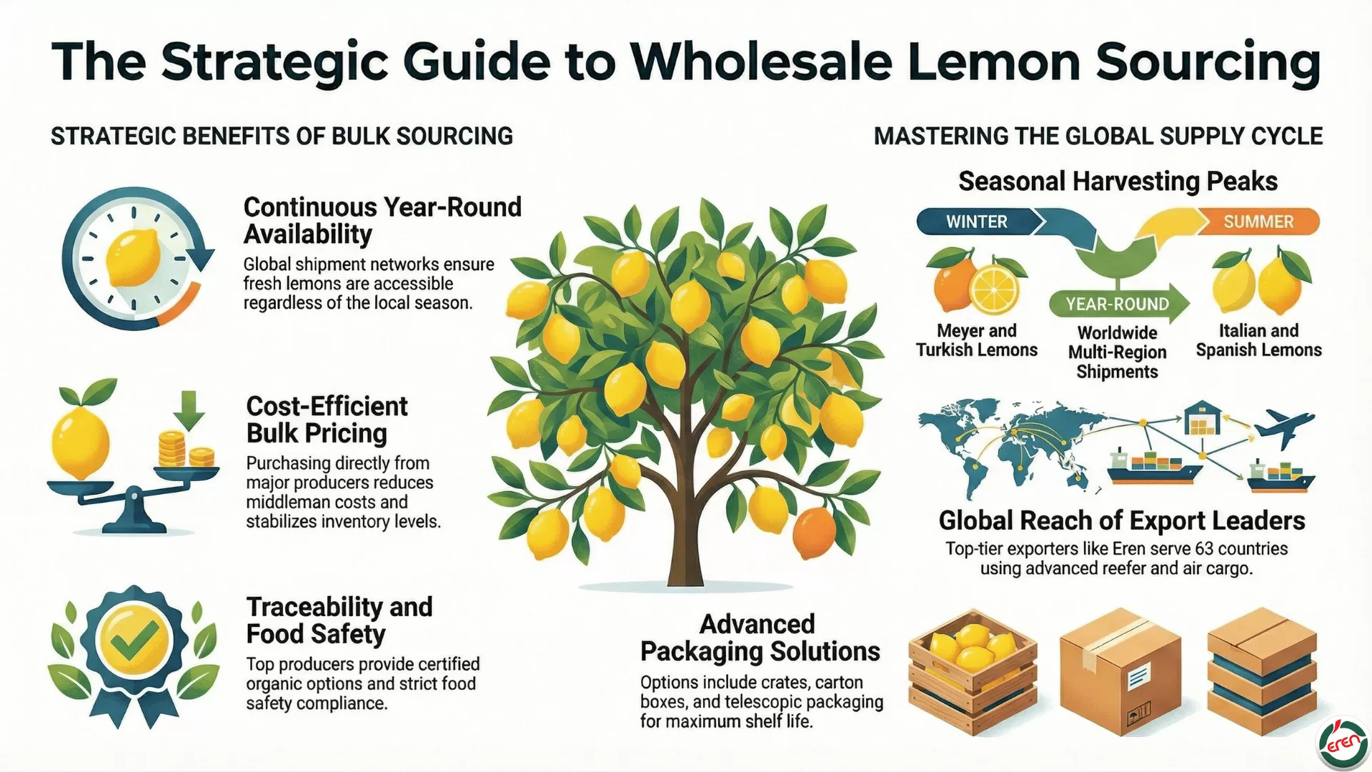 Biggest lemon producer in the world – find lemons wholesale now!
