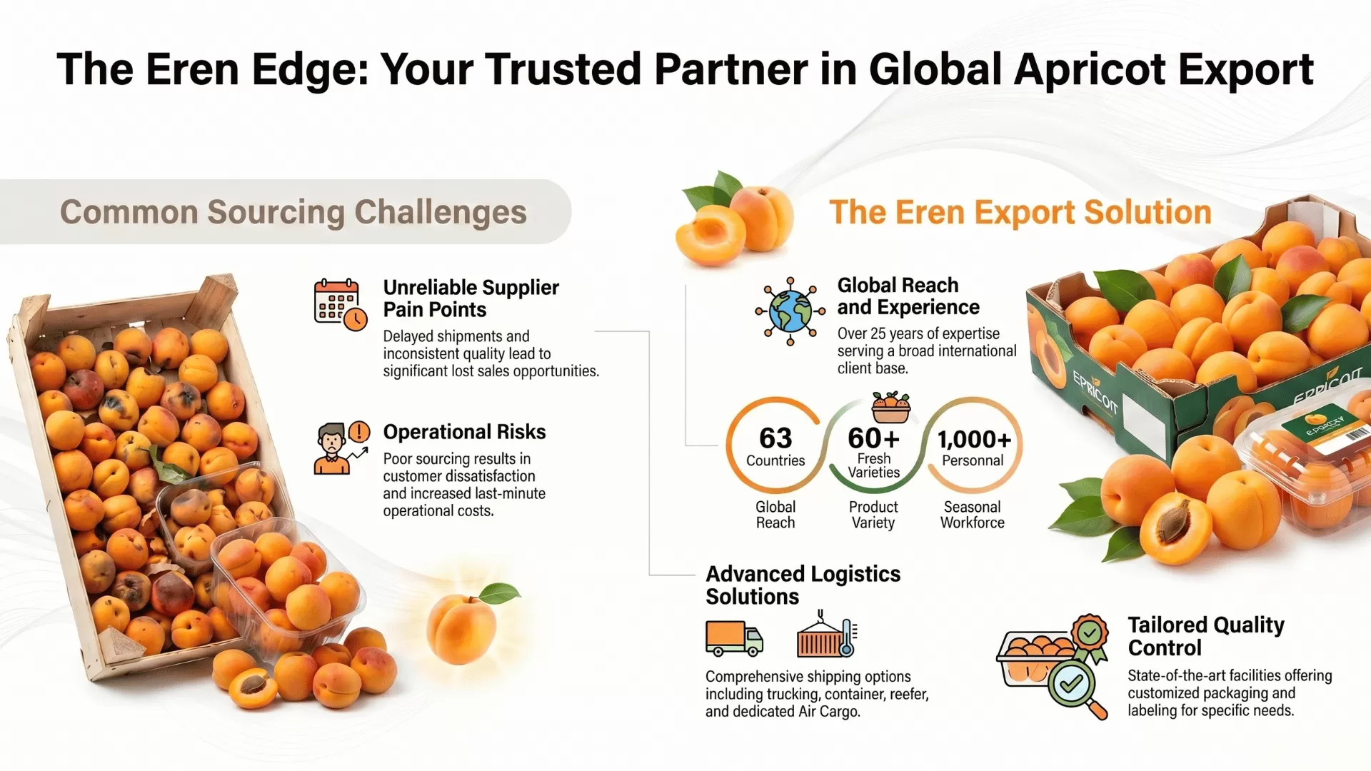 Trusted Apricot Exporter for Top-Quality Wholesale Apricot Export