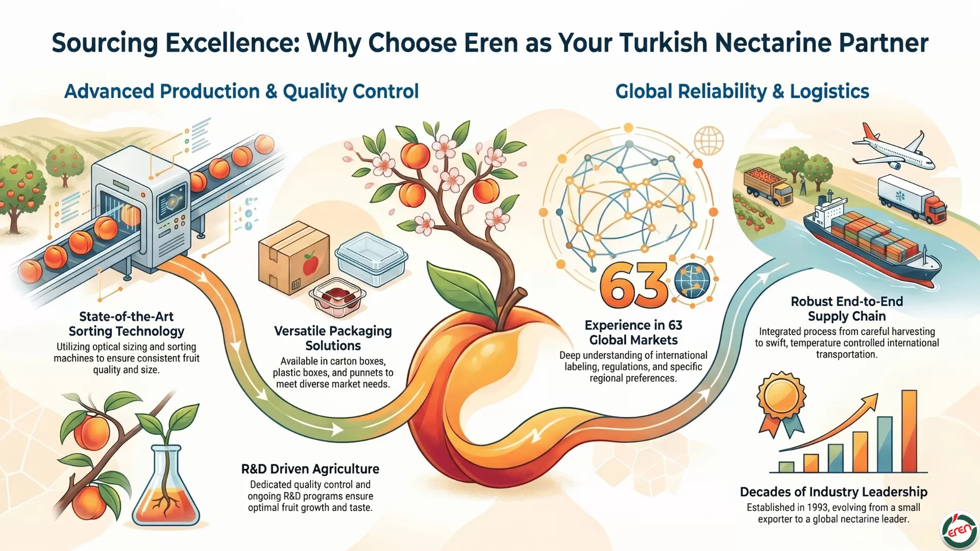 Your Reliable Turkish Nectarine Grower for the Freshest Nectarine