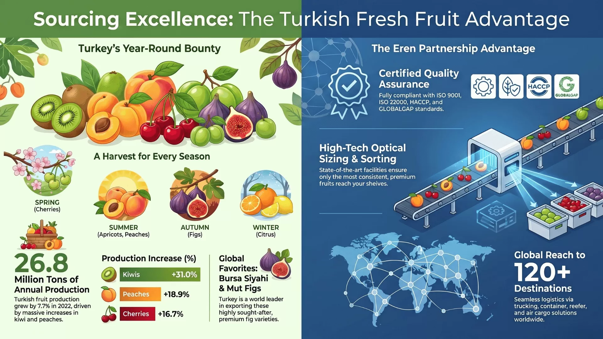 Uncover Hidden Gems: The Finest Fruits from Turkey