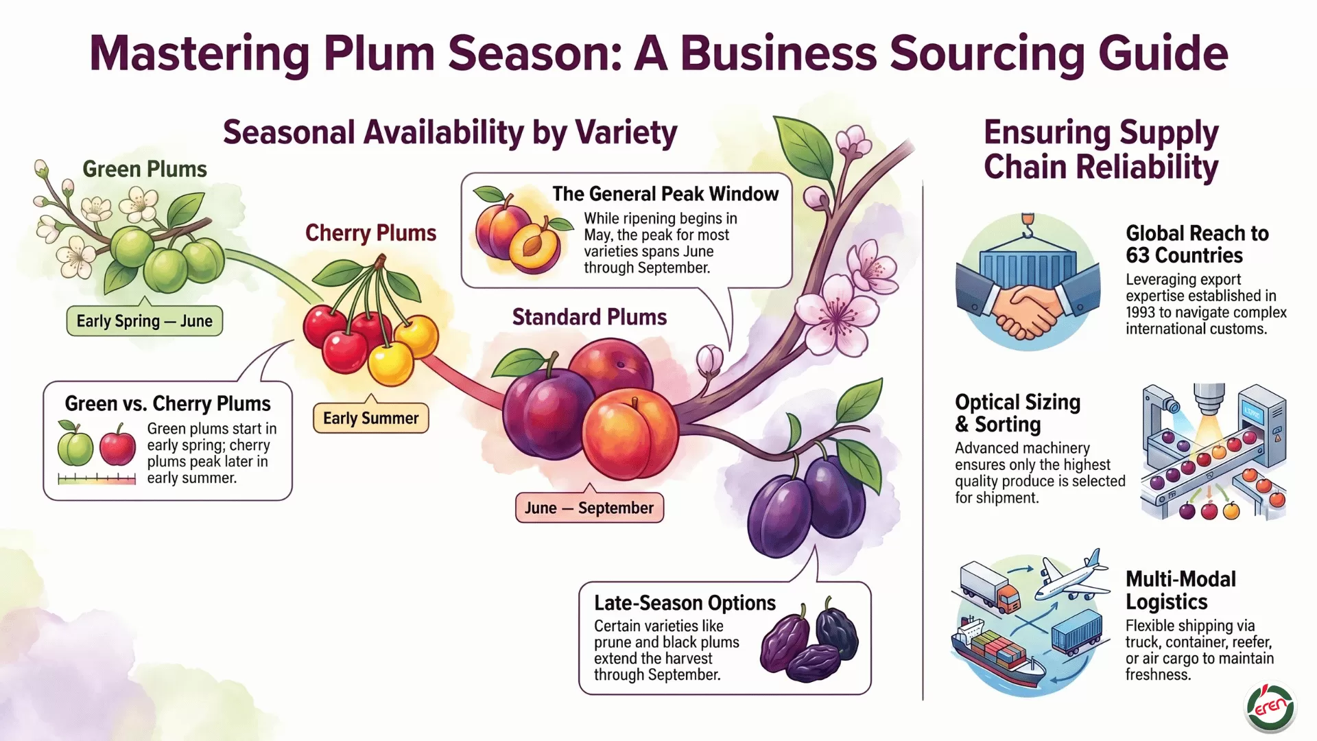 The Season for Plums: When is Plum Season Revealed