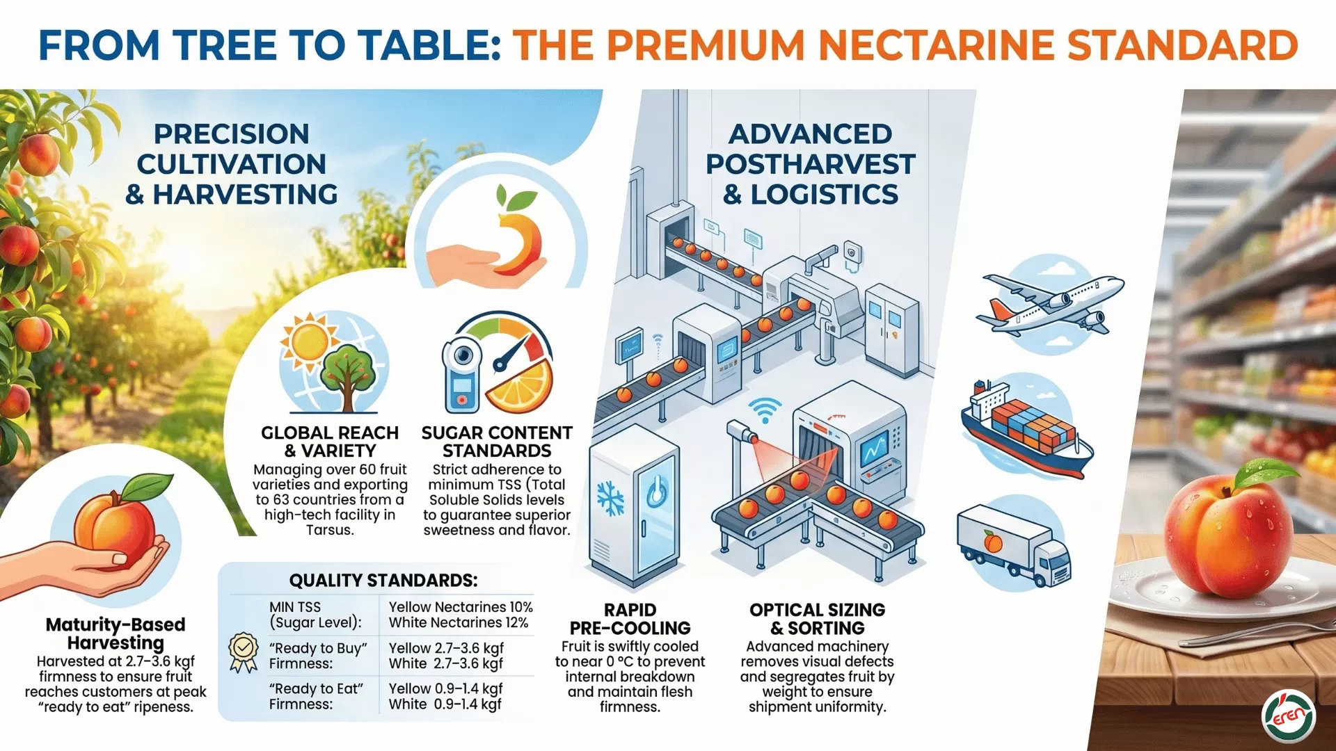 Premium nectarine production by top global nectarine producer