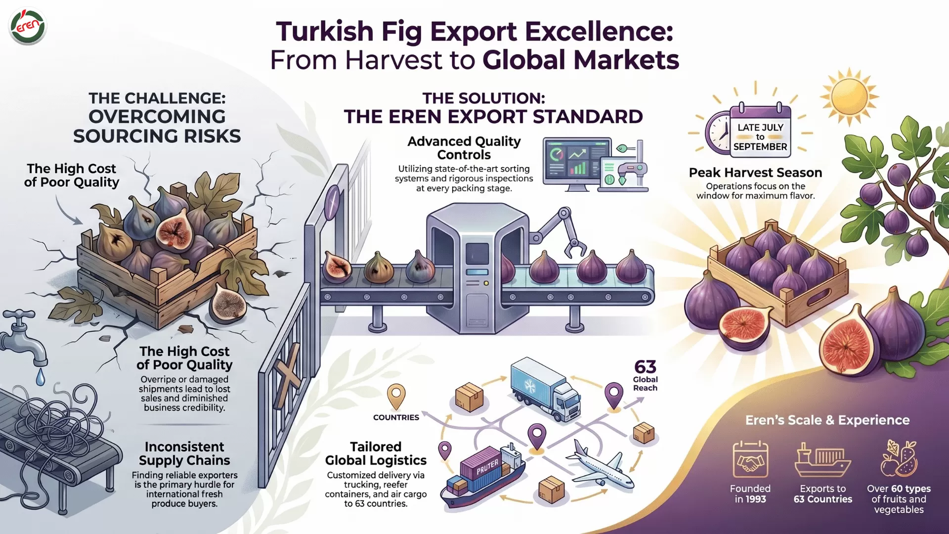 Turkish Fig Export Excellence: Best Figs for Your Needs