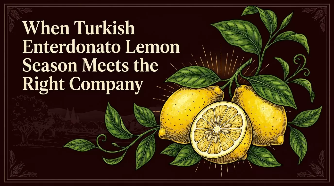 When Turkish Enterdonato Lemon Season Meets the Right Company