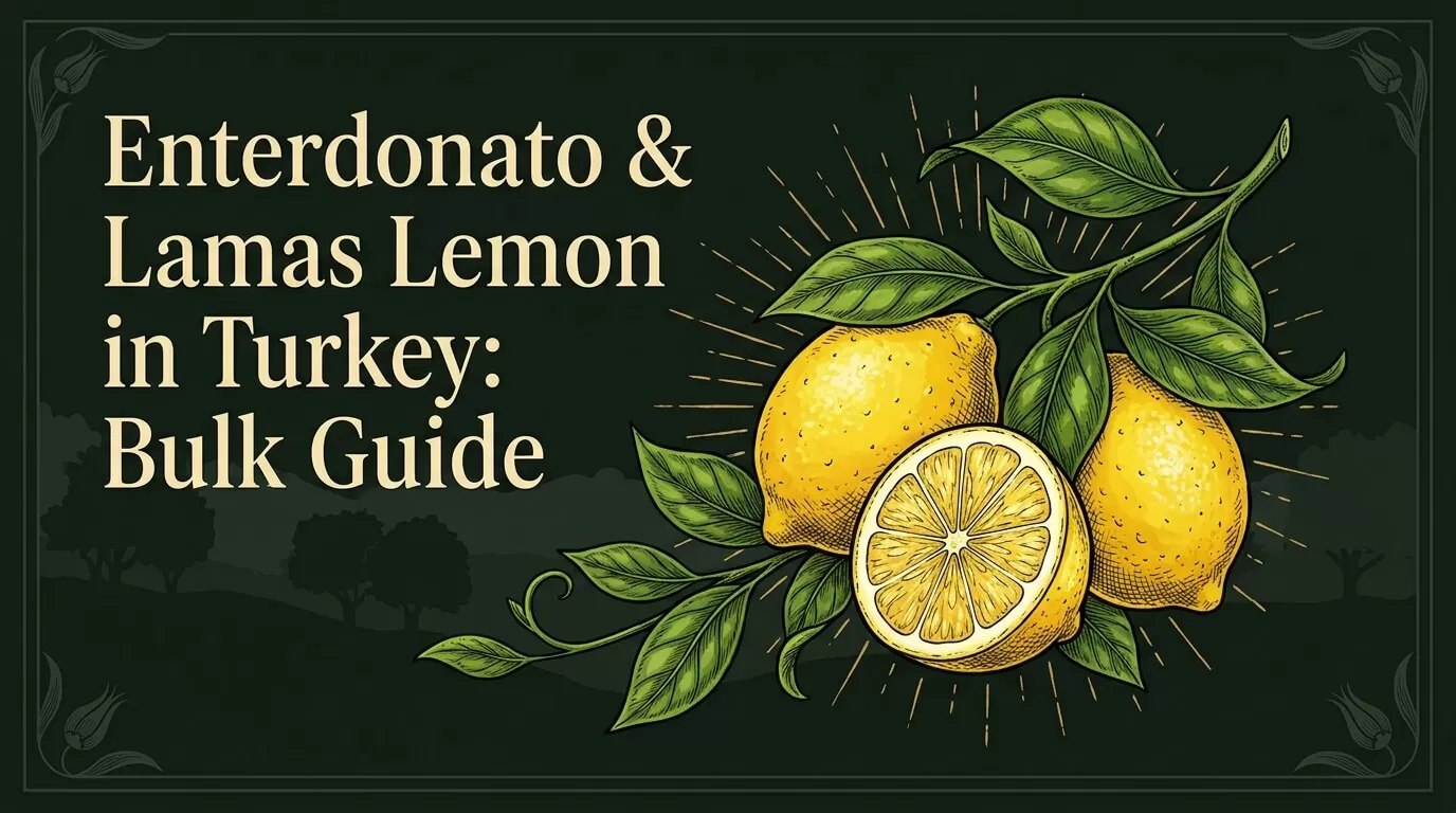 Enterdonato & Lamas Lemon in Turkey: Bulk Guide