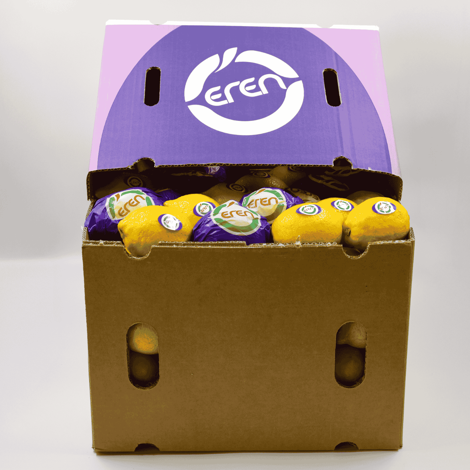 Lemon Lovers’ Guide: When to Harvest Lemons & Enjoy Peak Flavor