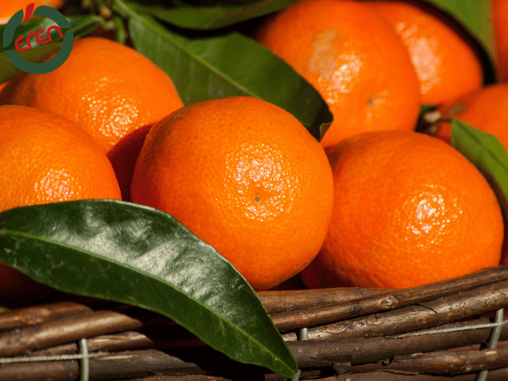 Turkish Mandarin: The Secret Behind Top Mandarin Products!