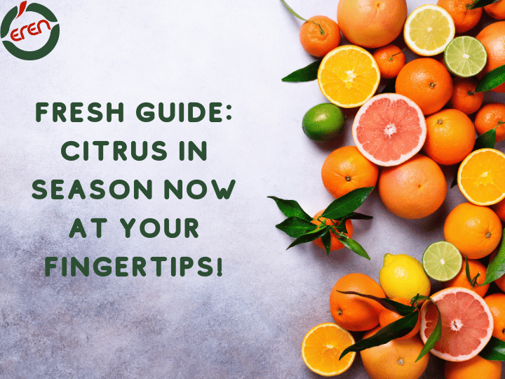 Get Ready for the Tangy Delight of Lemons in Season: Lemon Season!