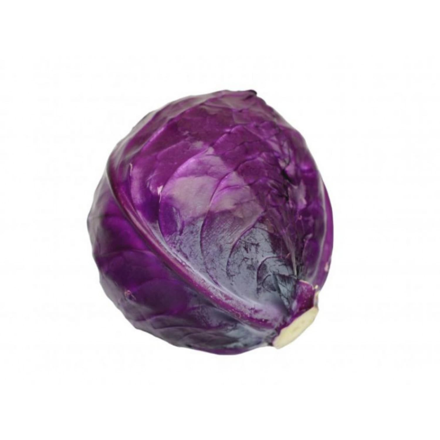 Cabbage - Fresh Export Turkey
