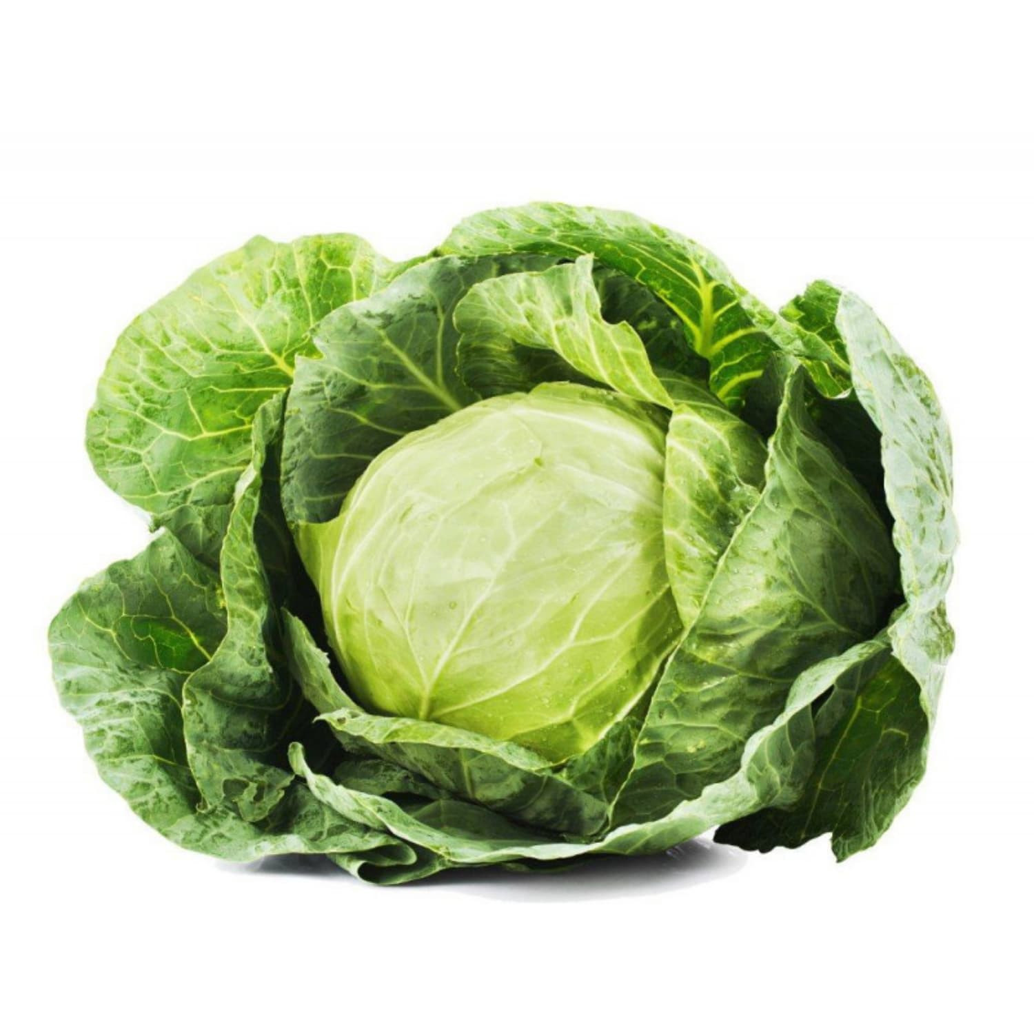 Cabbage - Fresh Export Turkey