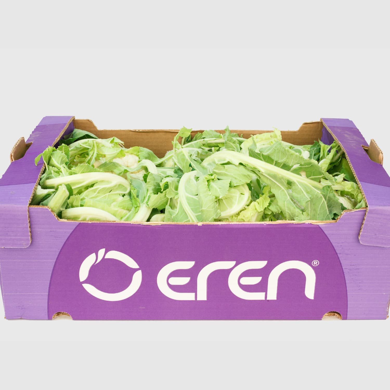 Cauliflower - Fresh Export Turkey