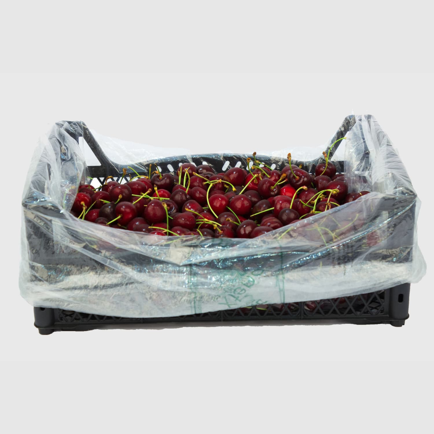 櫻桃 - Fresh Export Turkey