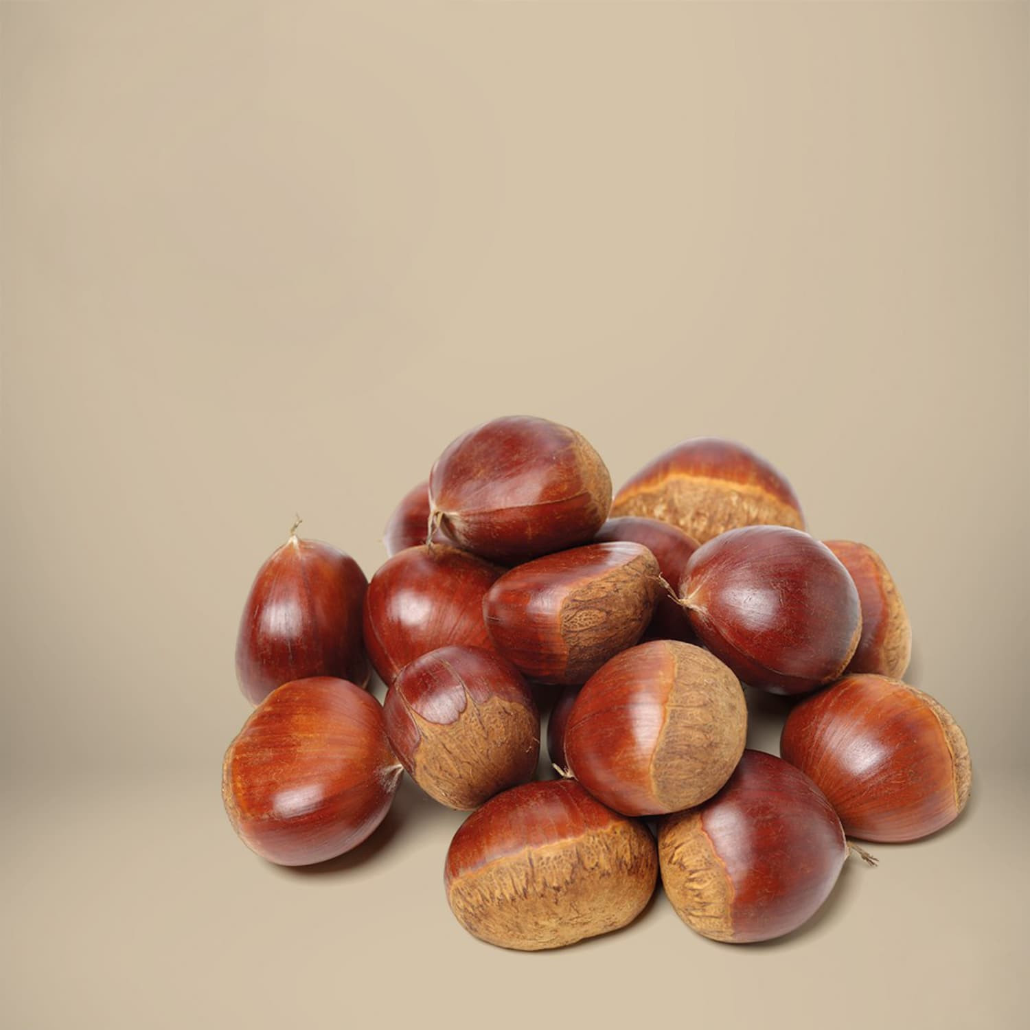 Chestnut - Fresh Export Turkey