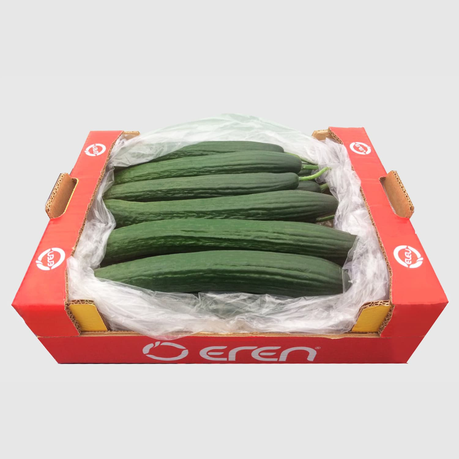 Cucumber - Fresh Export Turkey