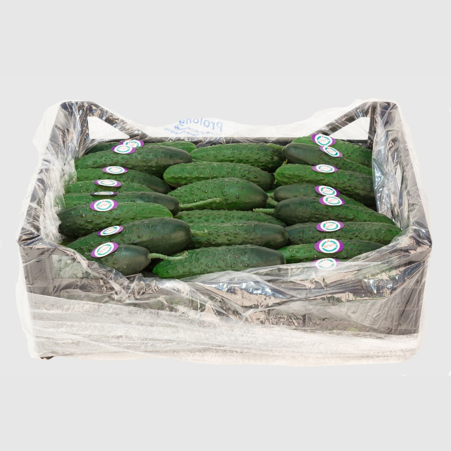 Cucumber - Fresh Export Turkey