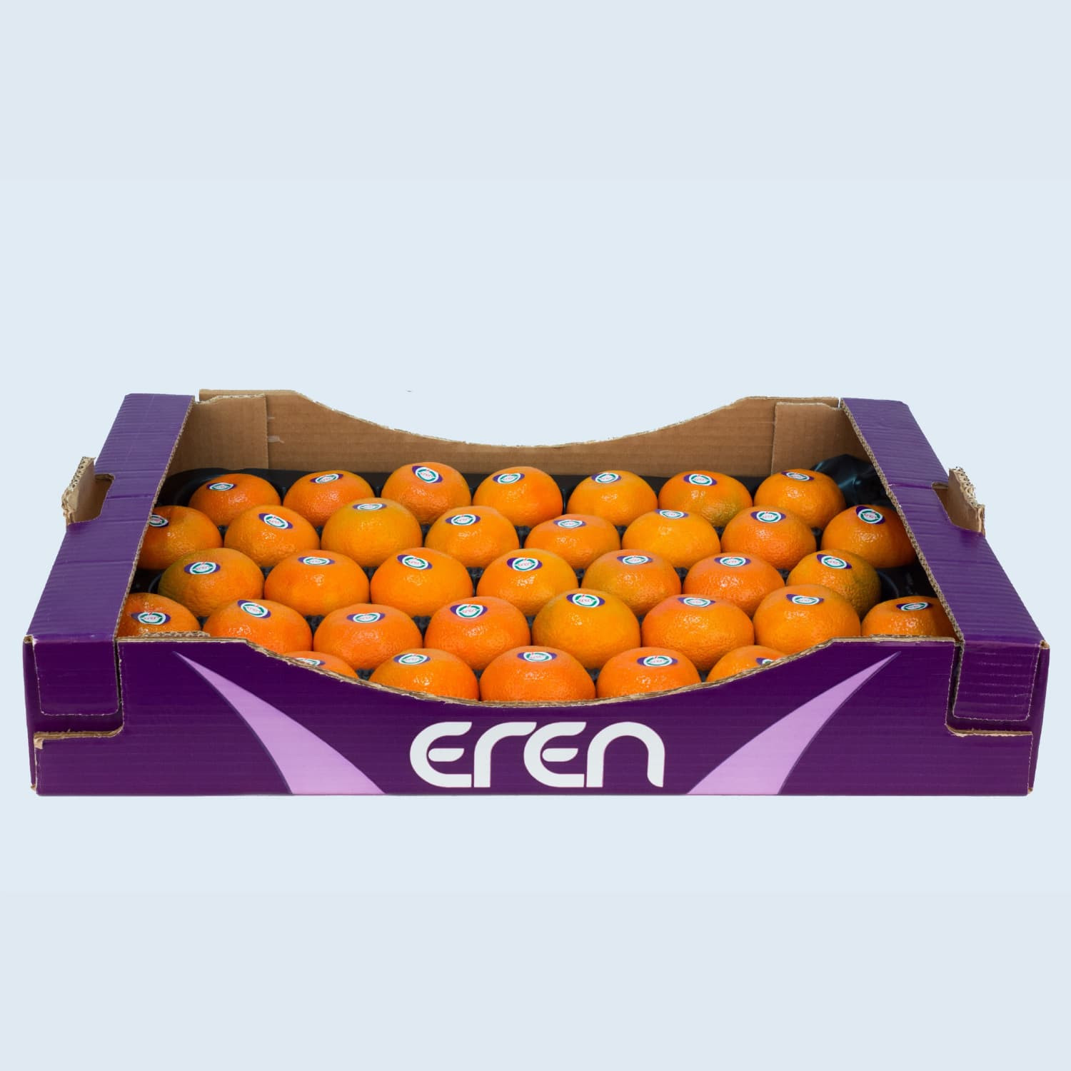 Fresh Nova Mandarin in Plastic Box - EREN Citrus Supplier
