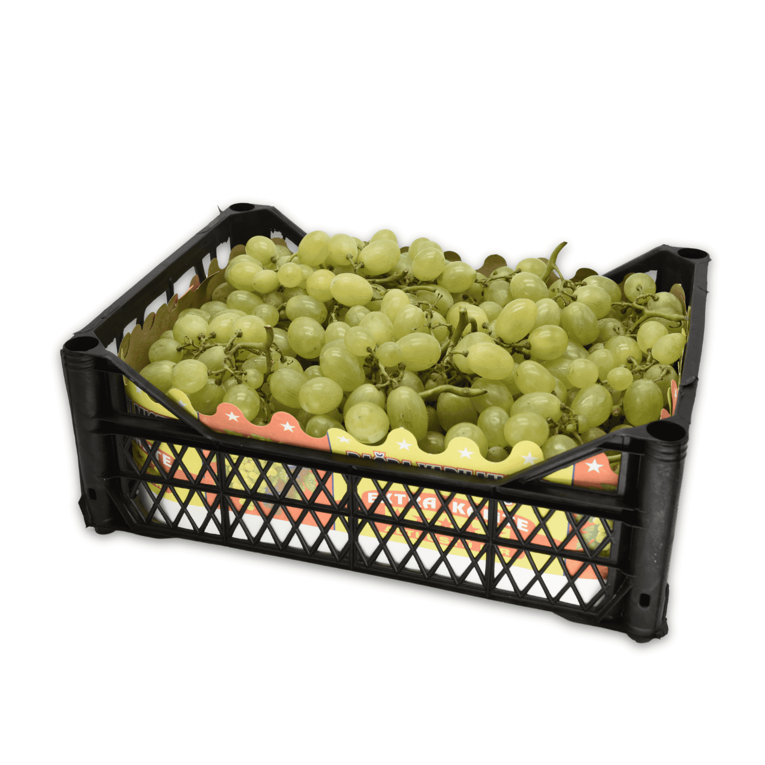 Grape - Fresh Export Turkey