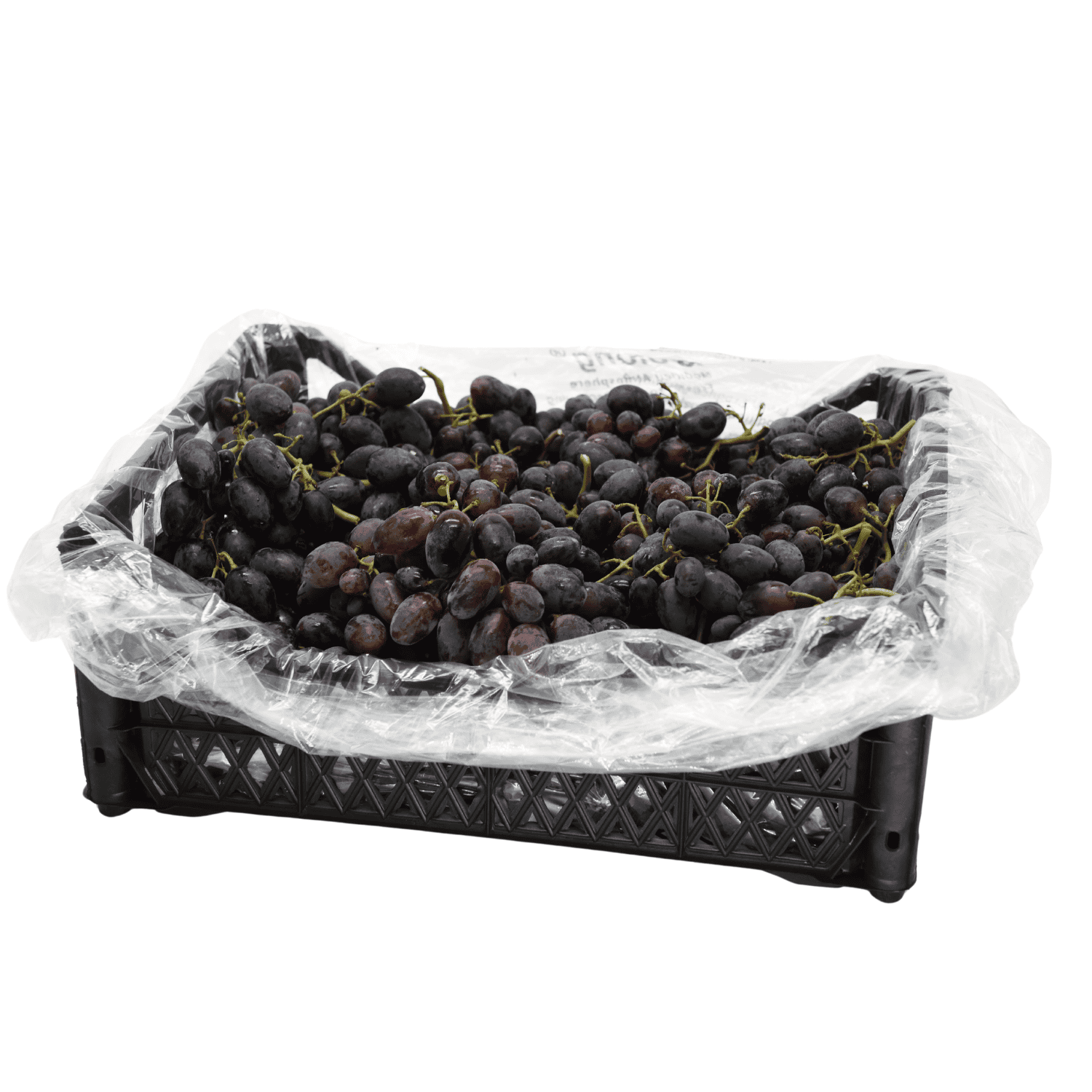 Grape - Fresh Export Turkey