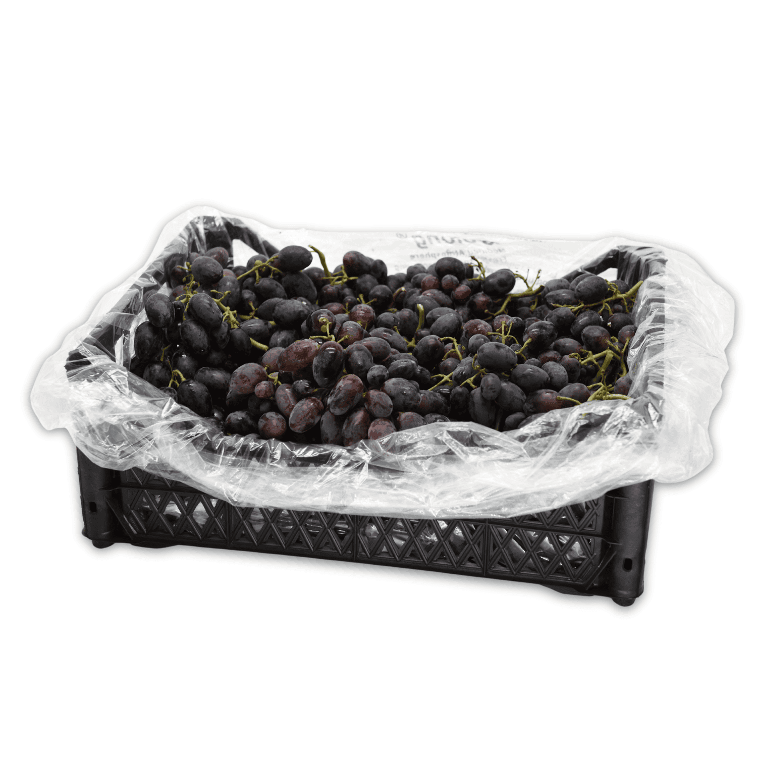 Grape - Fresh Export Turkey