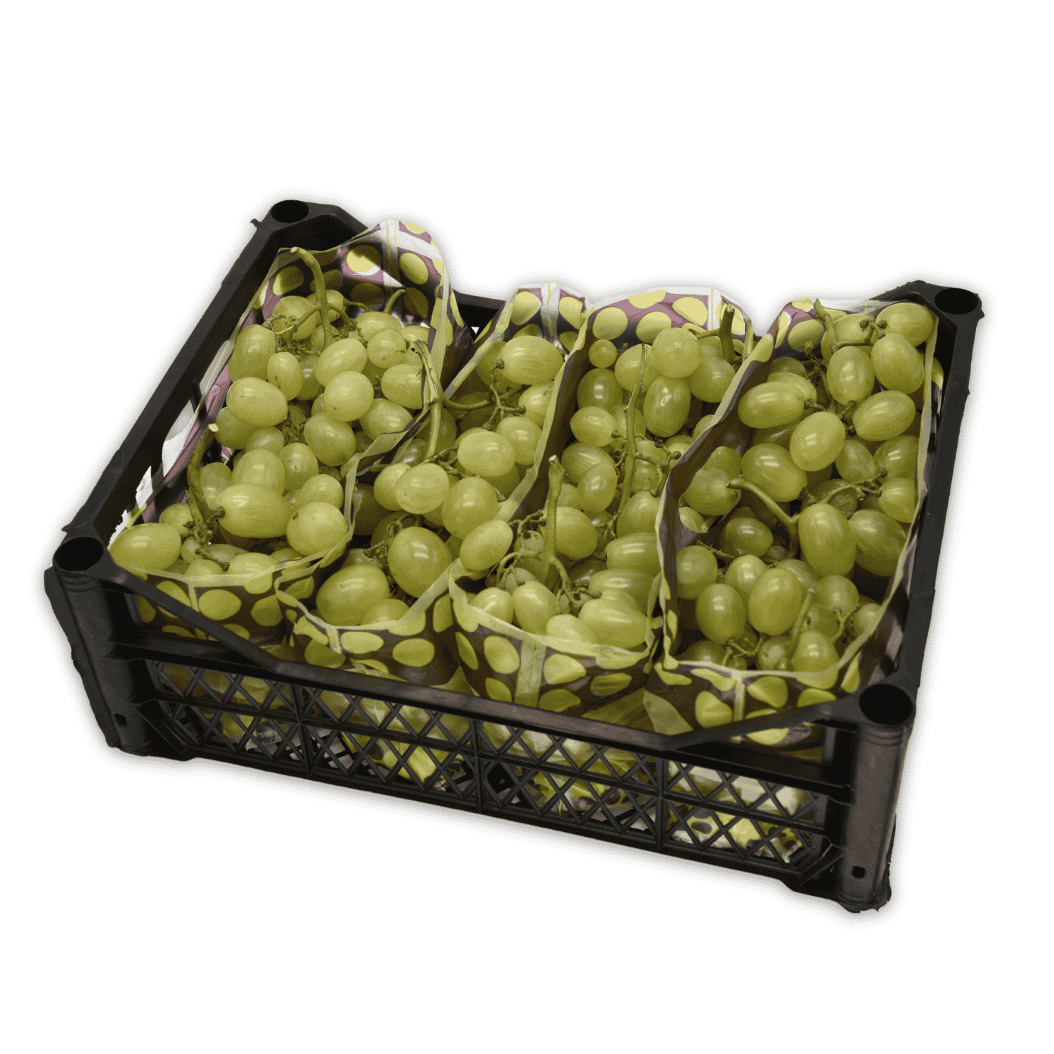 Grape - Fresh Export Turkey