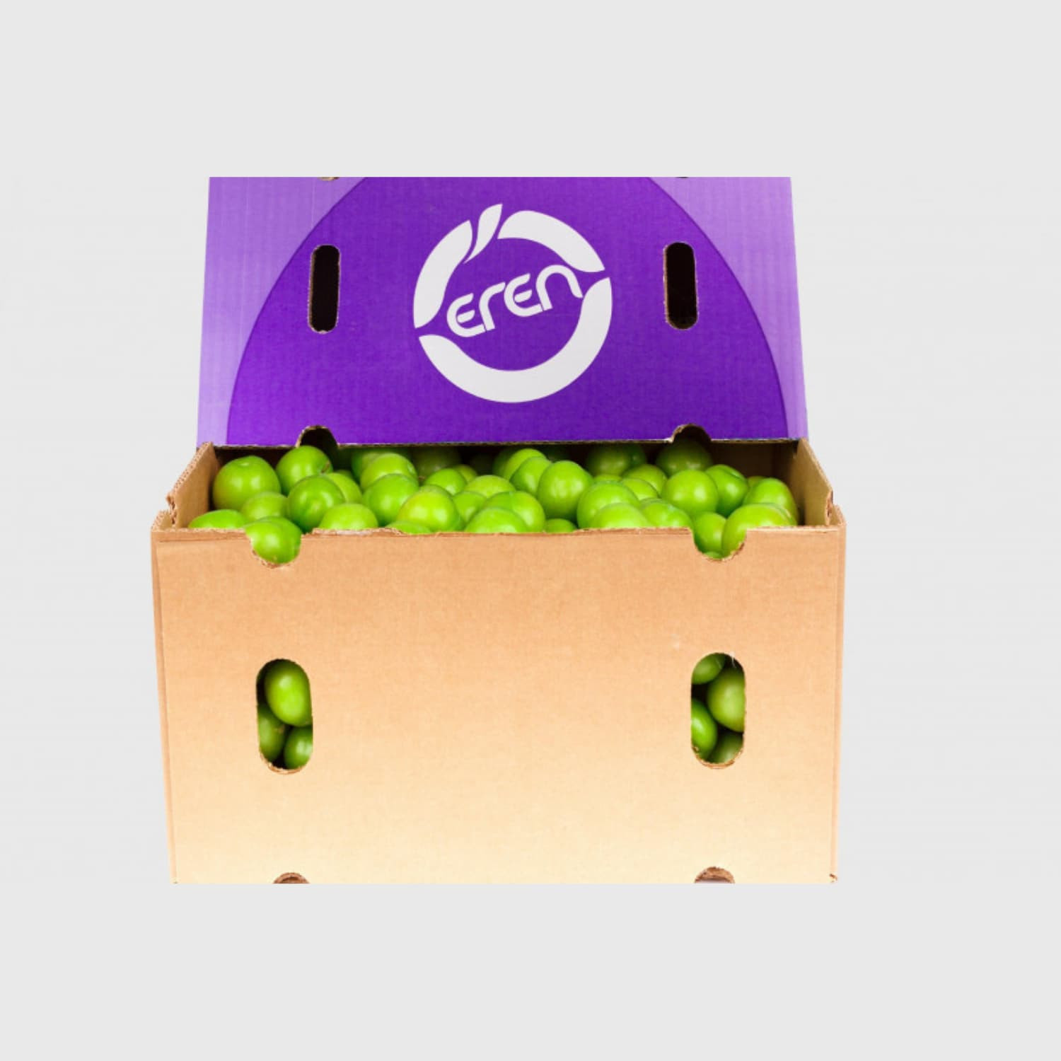 Green Plums (Janerik) - Fresh Export Turkey