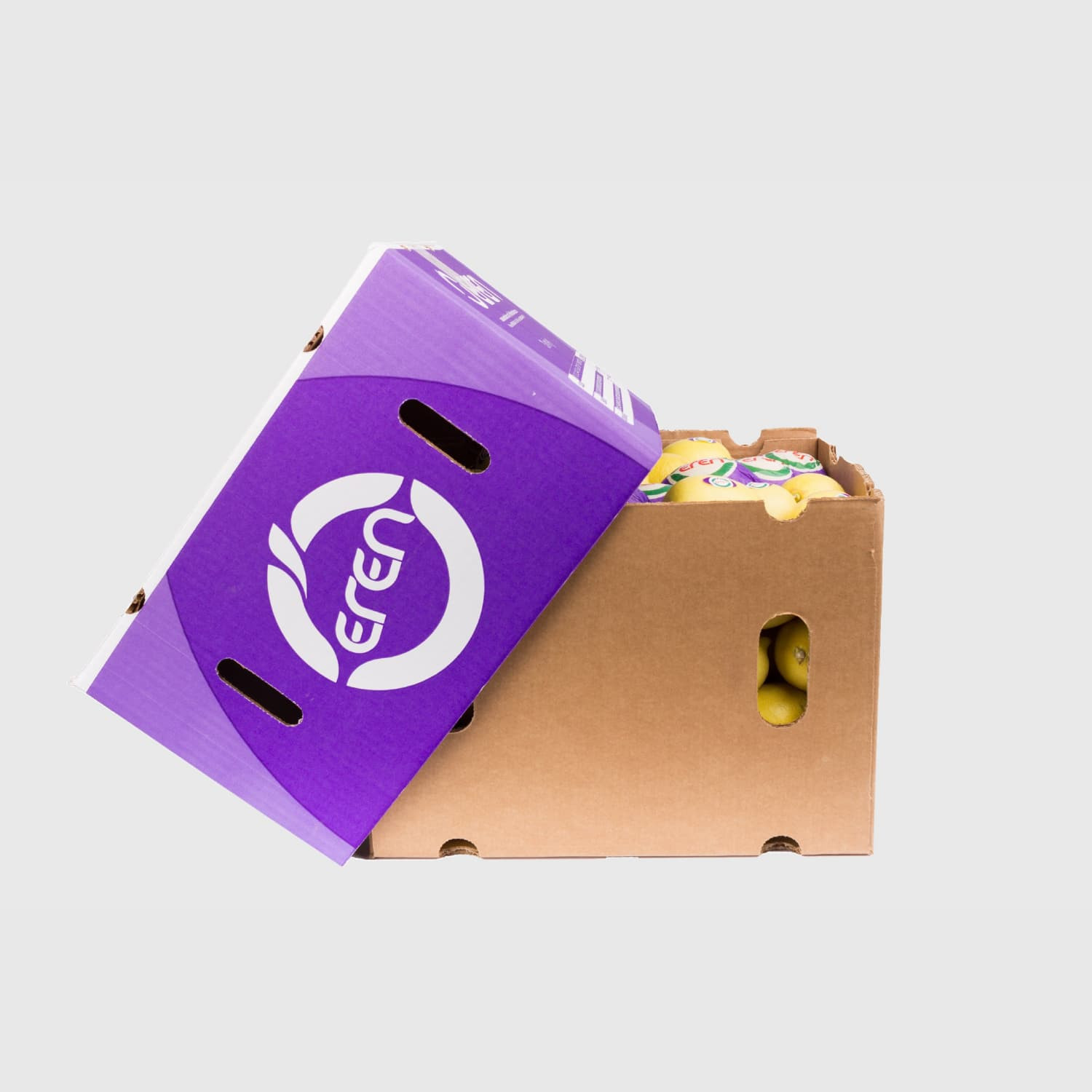 Interdonato Lemon - Fresh Export Turkey