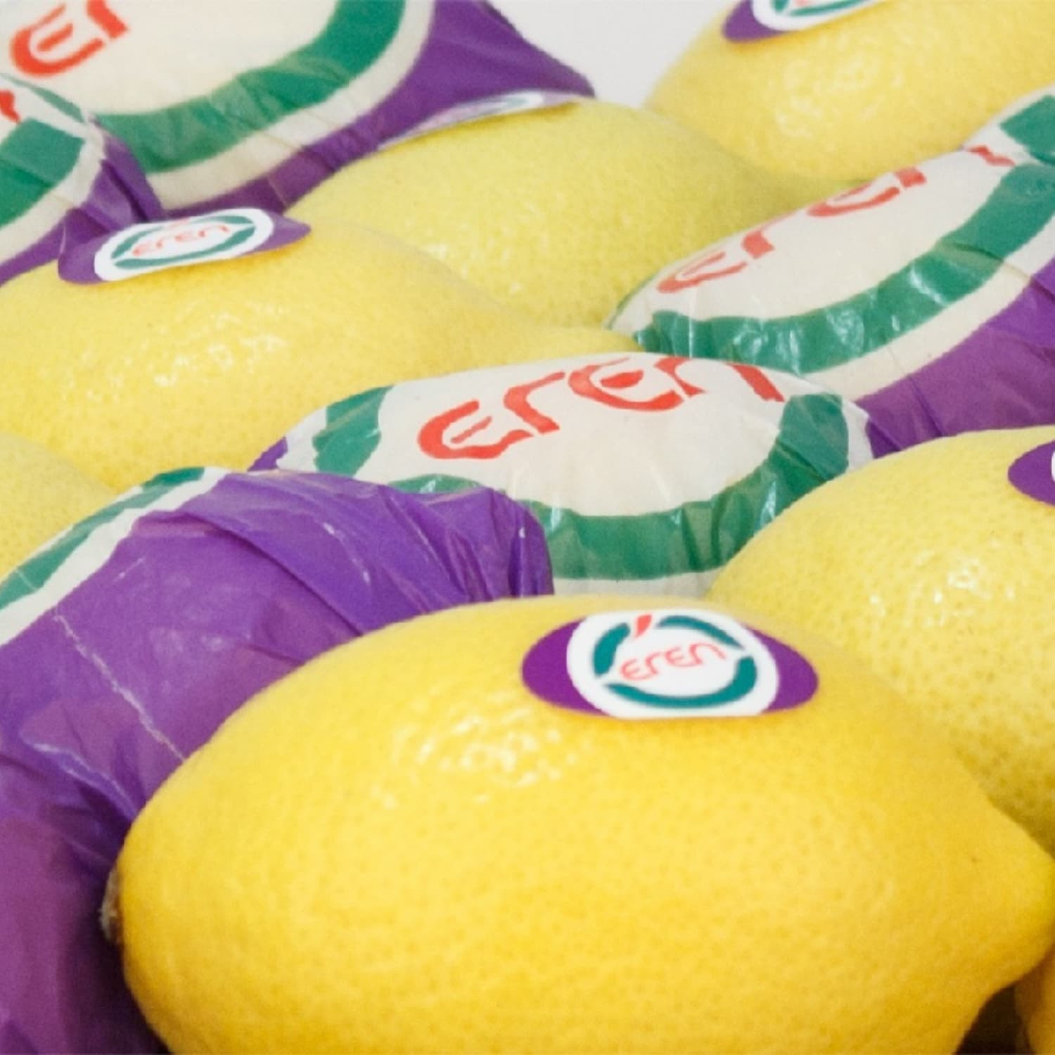 Bulk Fresh Lemons in Cartons - EREN Citrus Supplier