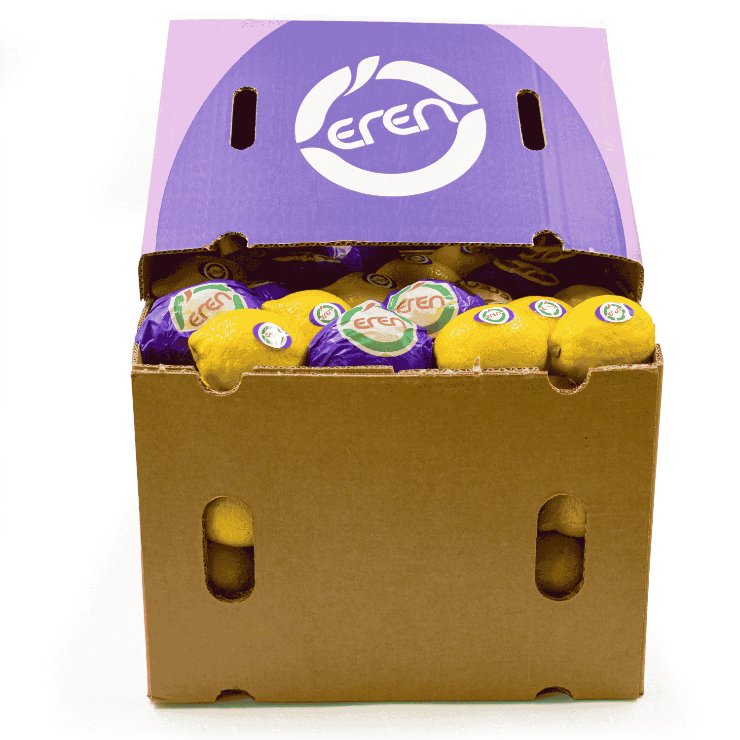 Lamas Limau - Fresh Export Turkey