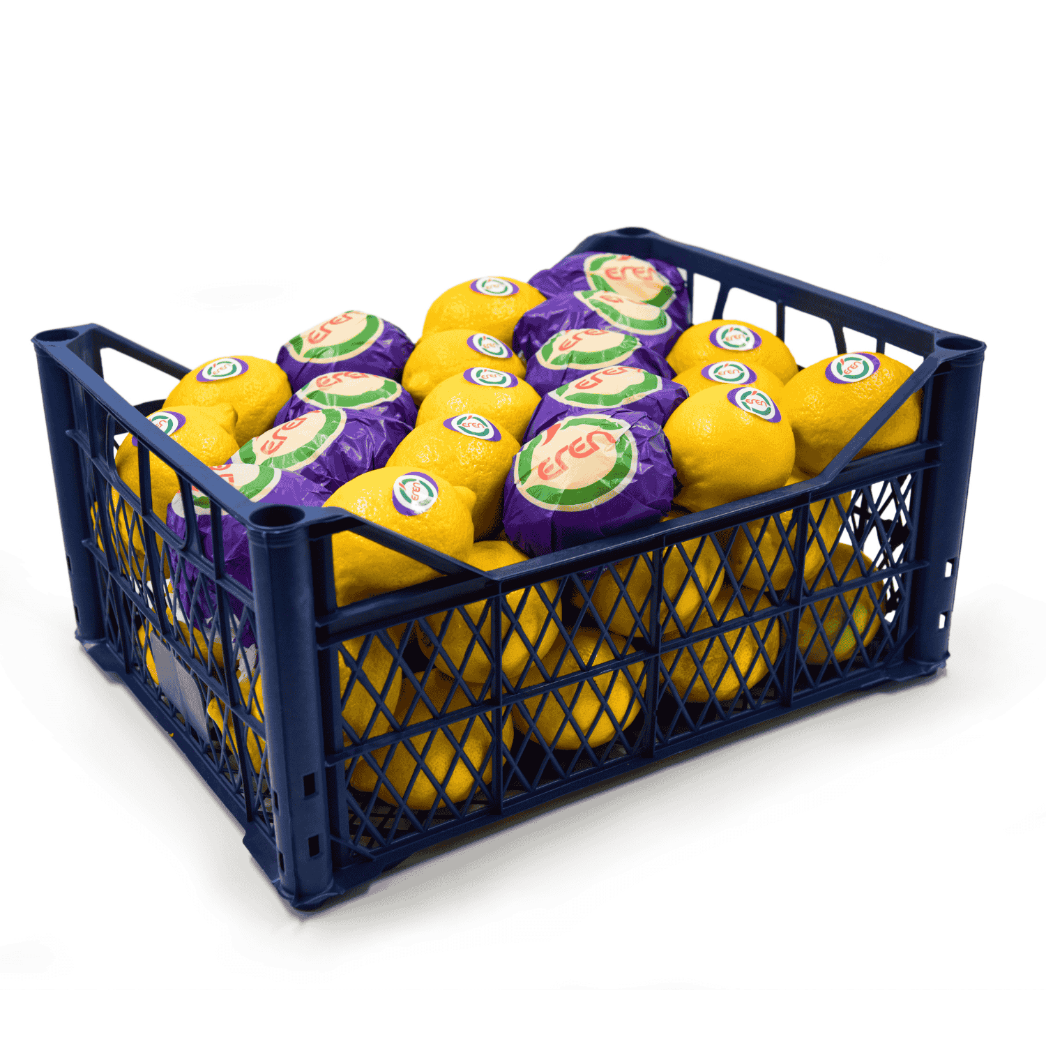 Lamas Lemon Packaging - EREN Lemon Harvest Season Supplier