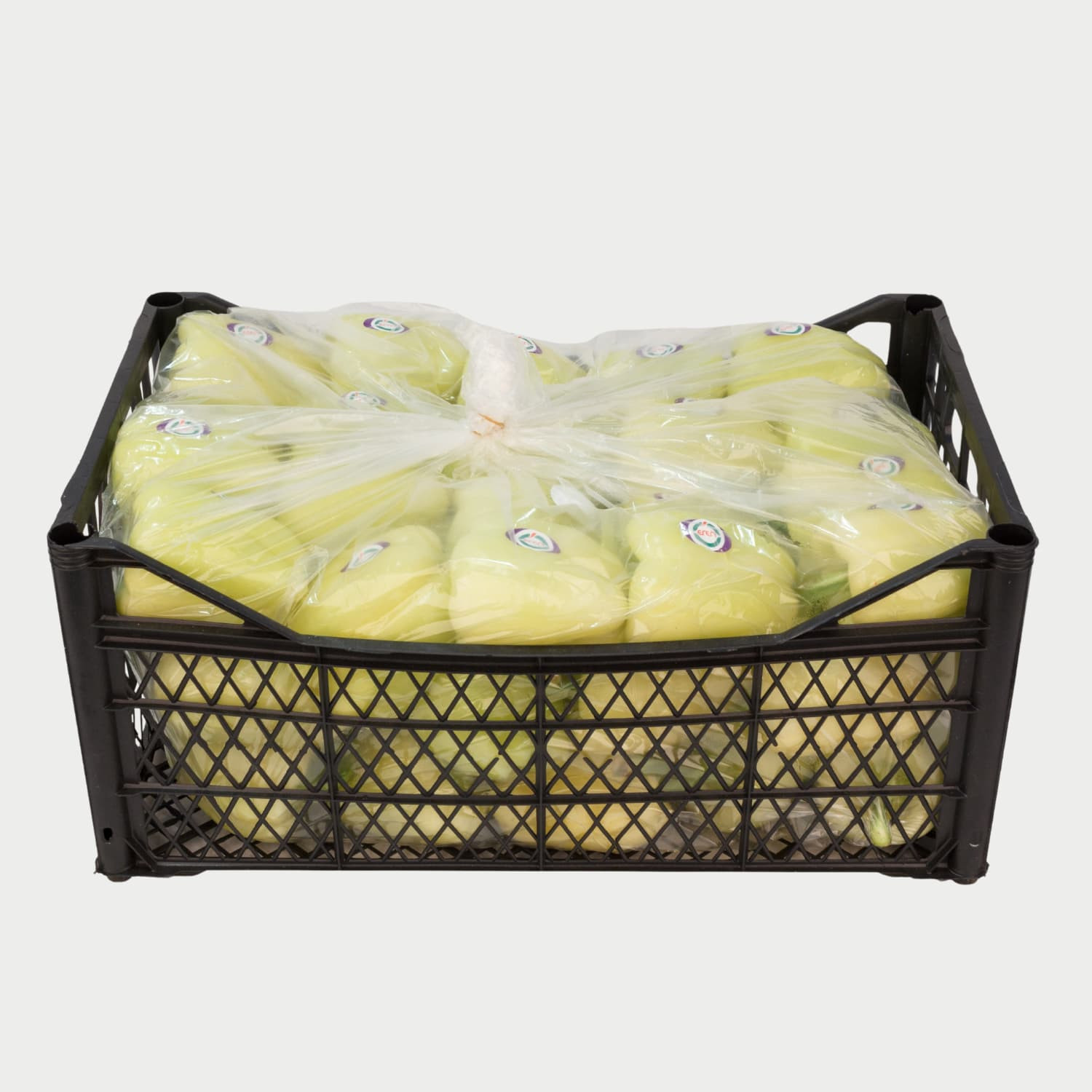 Pepper - Fresh Export Turkey