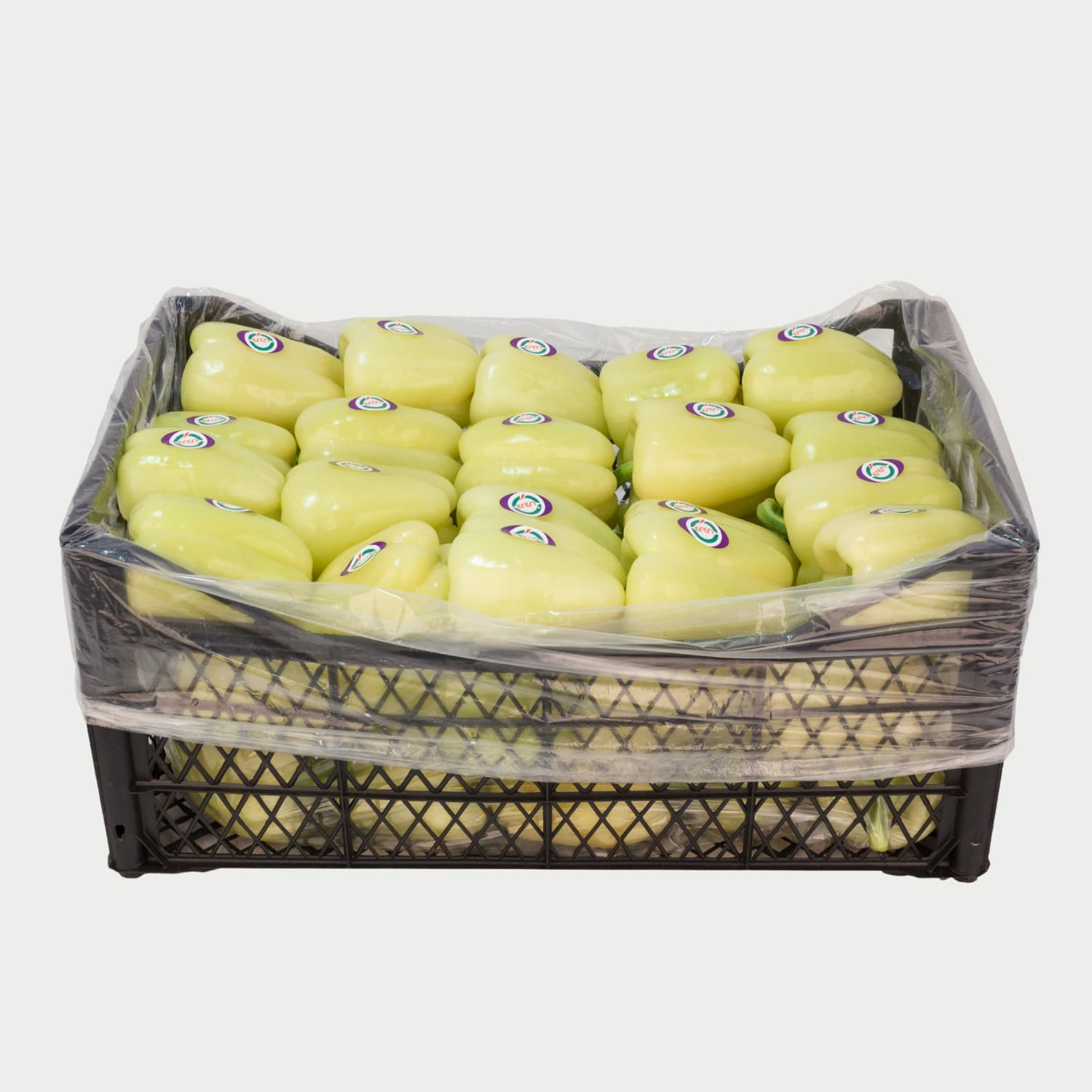 Pepper - Fresh Export Turkey