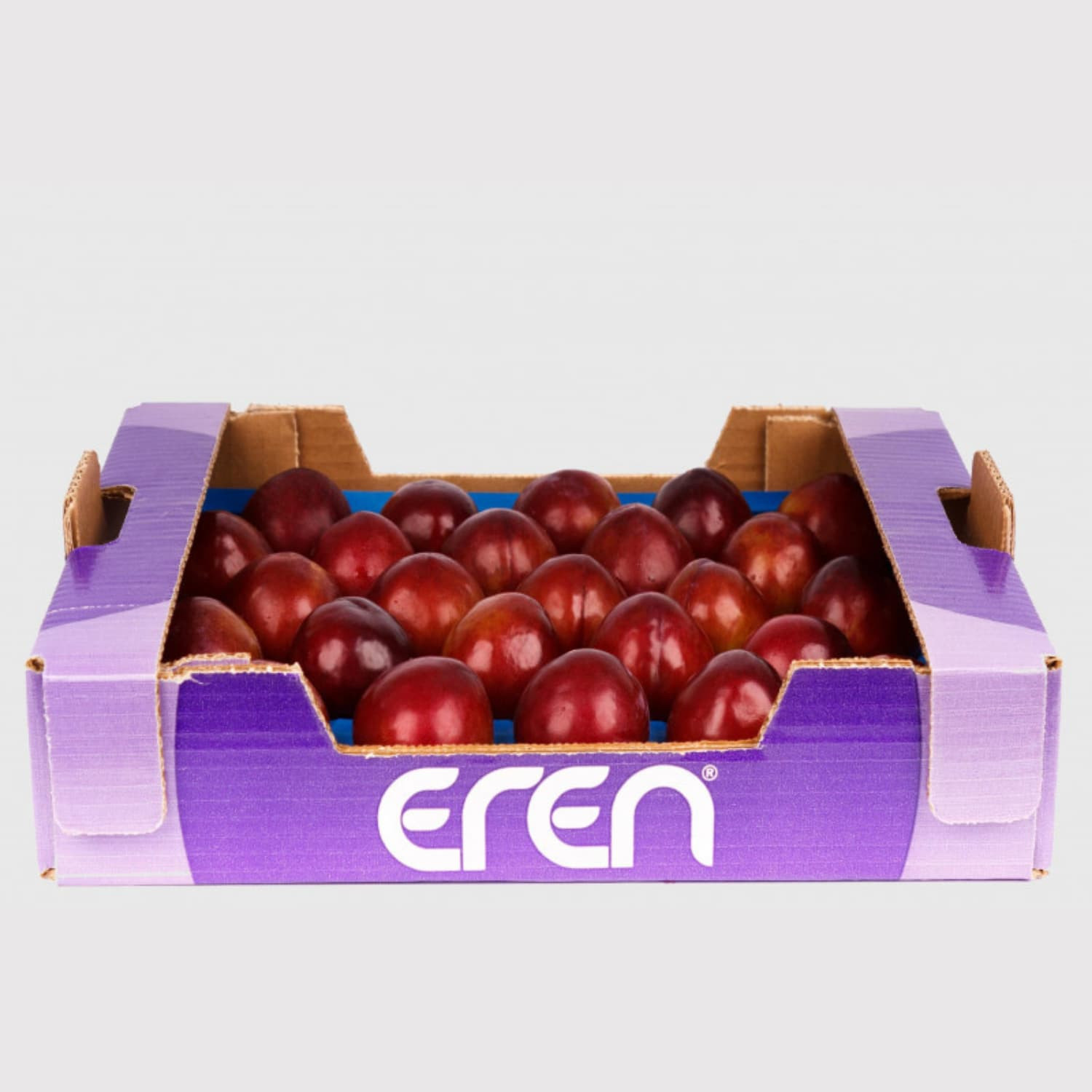 Plum - Fresh Export Turkey