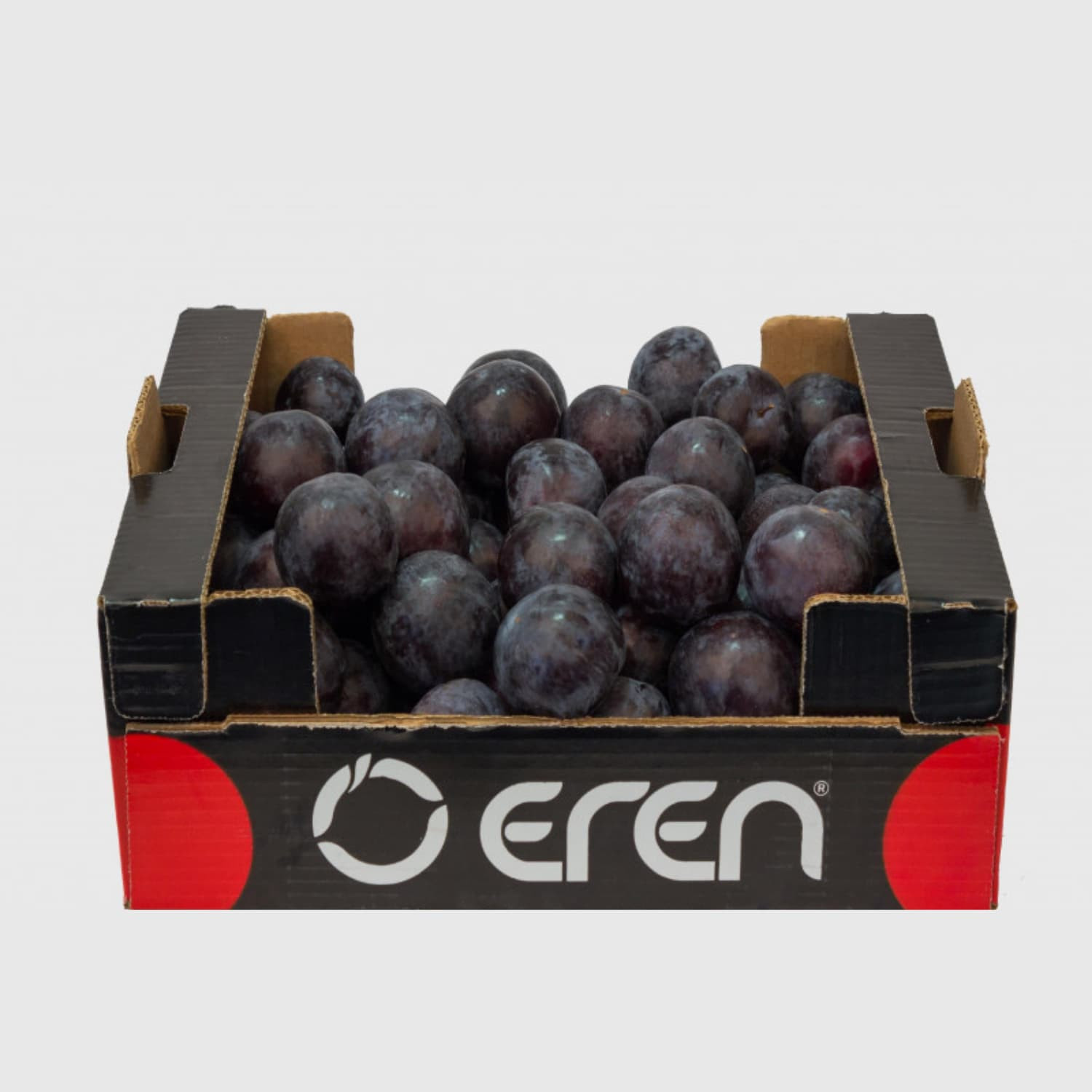 Plum - Fresh Export Turkey