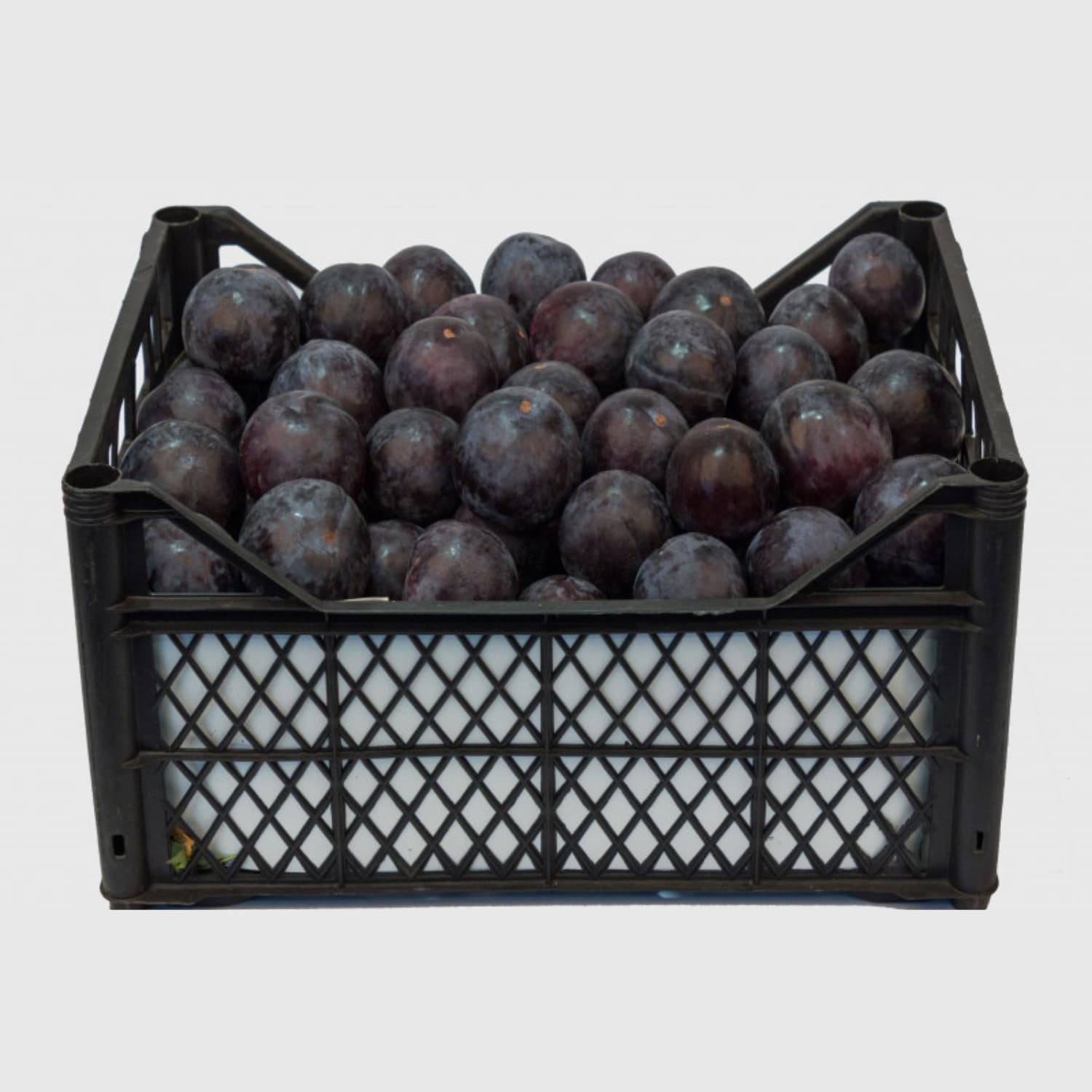 Plum - Fresh Export Turkey