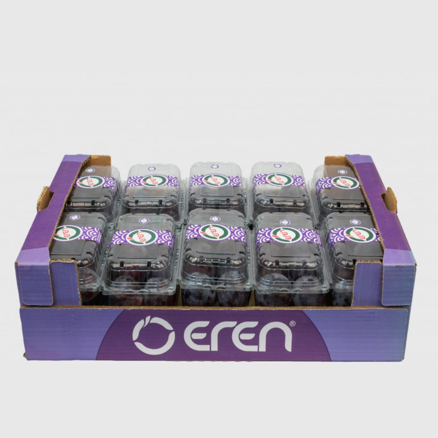 Plum - Fresh Export Turkey