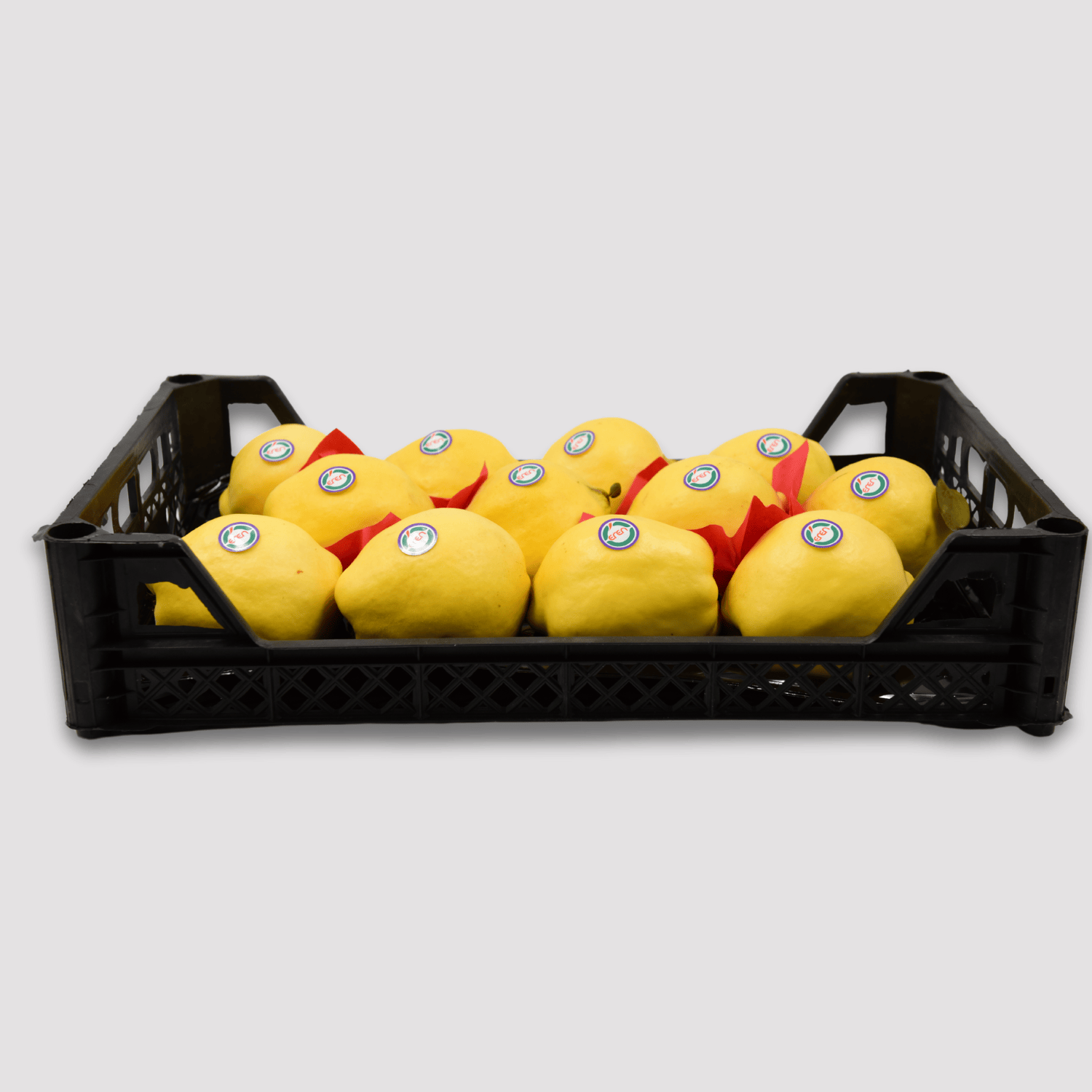 Quince - Fresh Export Turkey