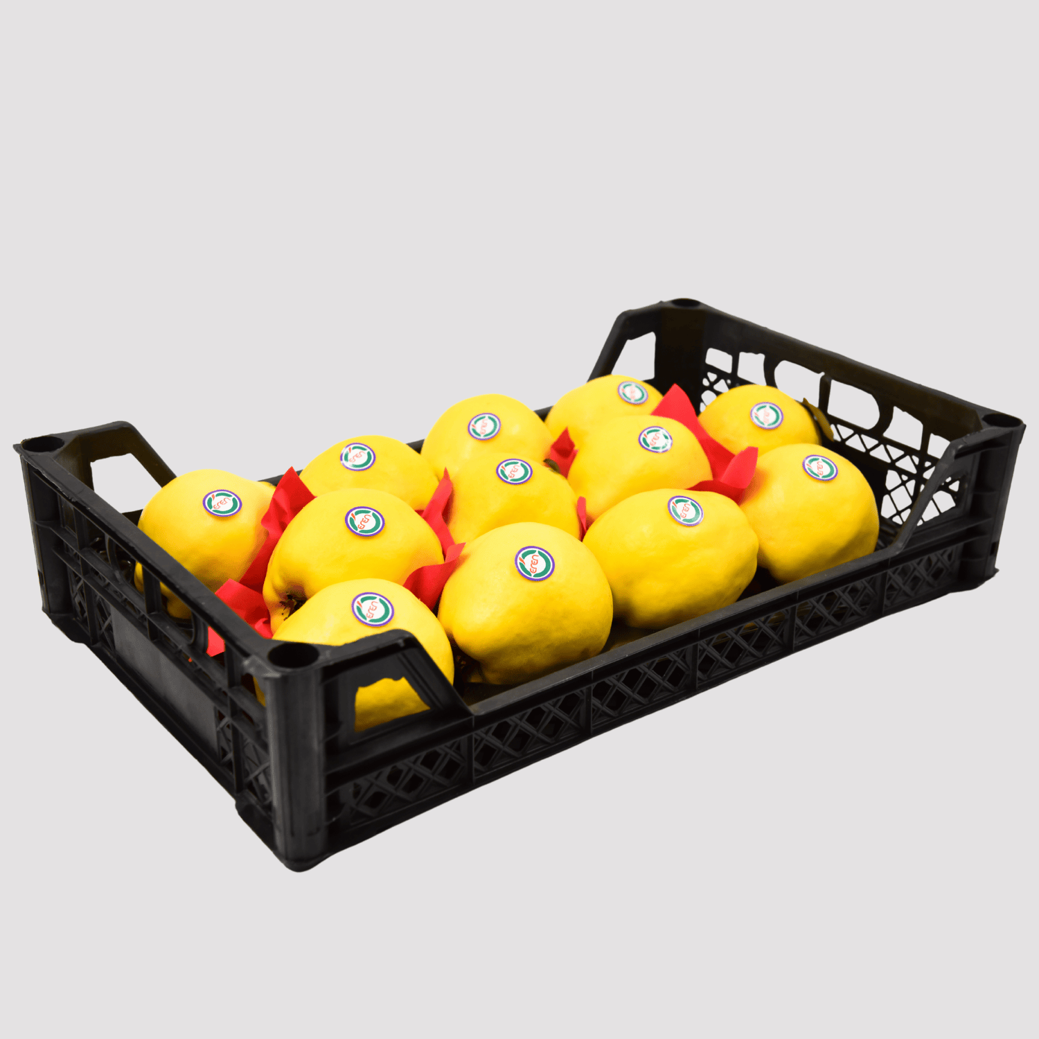 Quince - Fresh Export Turkey