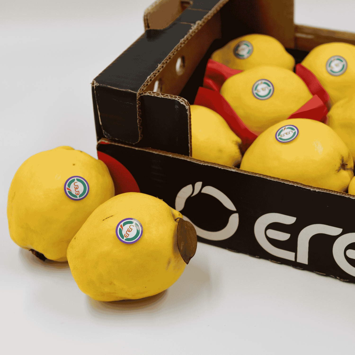 Quince - Fresh Export Turkey