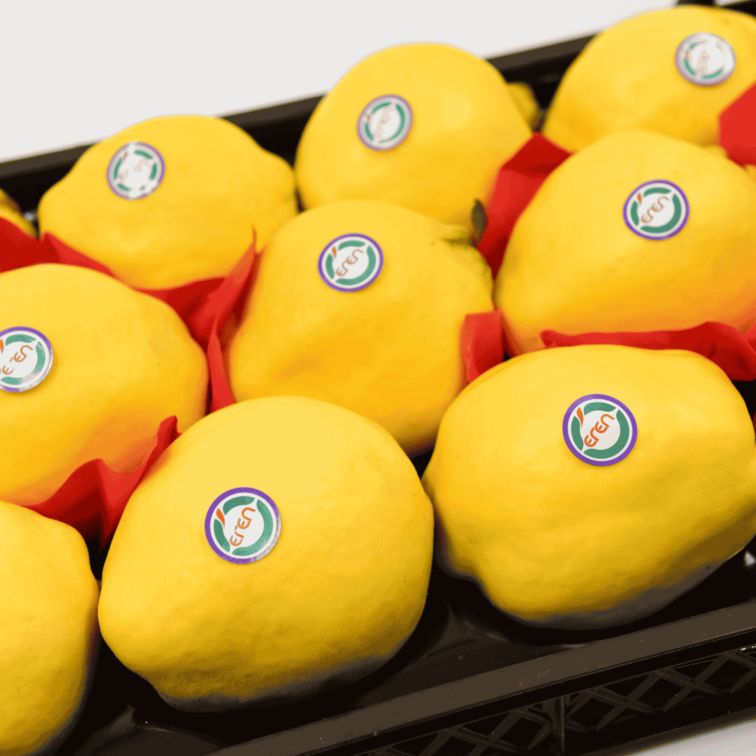 Quince - Fresh Export Turkey